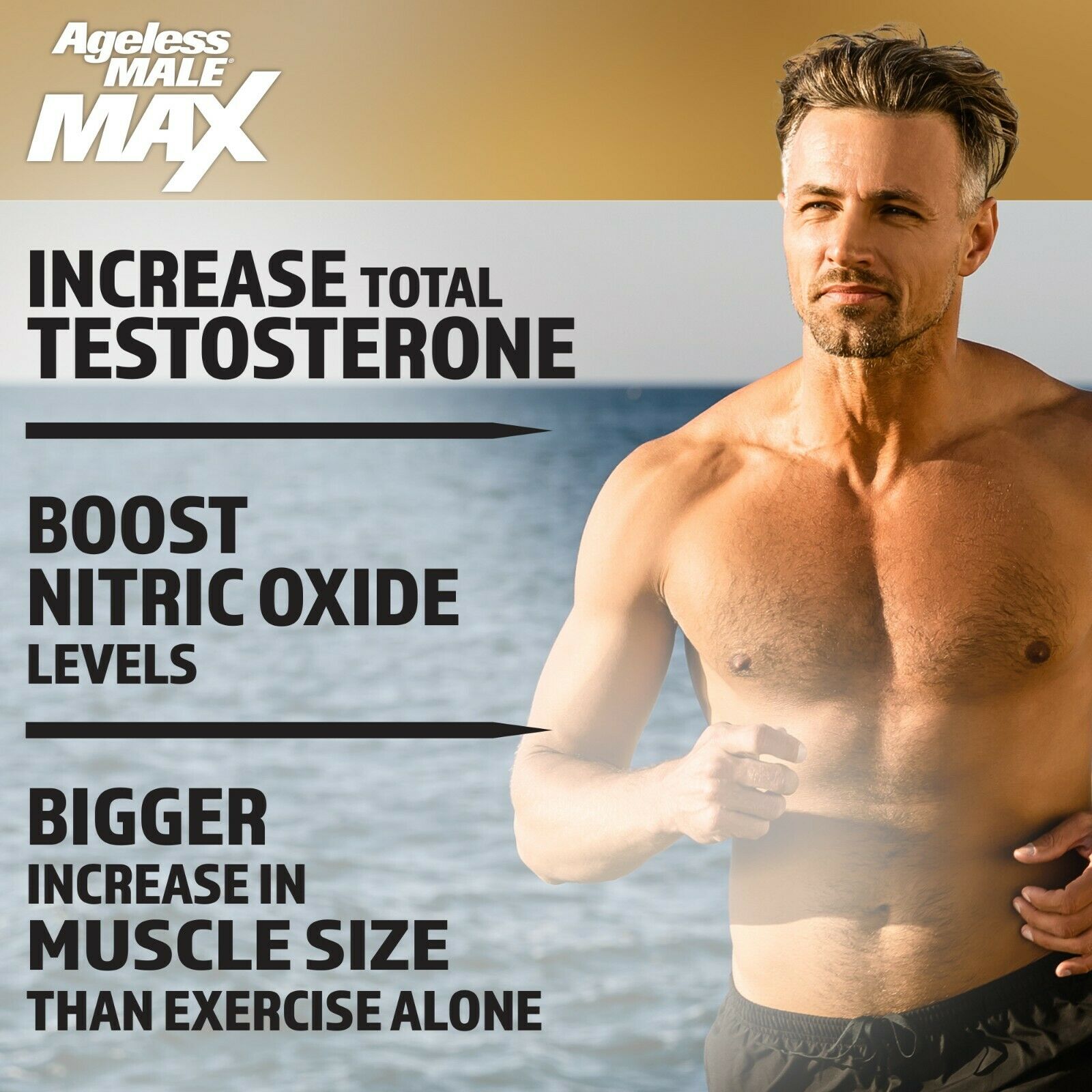 Ageless Male Max Testosterone Booster by New Vitality - 60 Caplets FREE Shipping